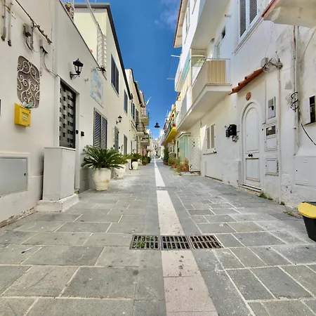 Casa Di Rosa - 500m From The Lägenhet Ischia